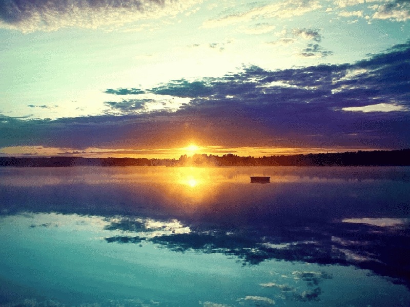 陈女士成功案例